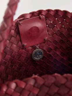 - Santa Maria Tas*Dragon Diffusion