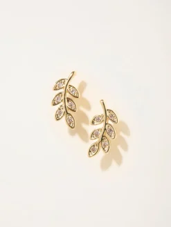 FatFace - Oorknopjes met bladertakje*Fat Face Online