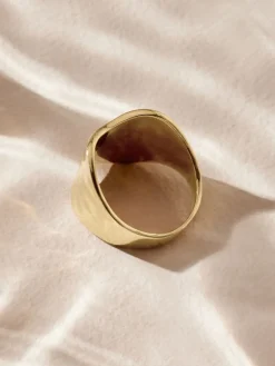 Goudkleurig - Stainless Steel Chunky Ring*Next Discount