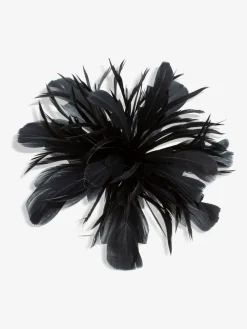Statement Floral Clip Fascinator*Jon Richard Best