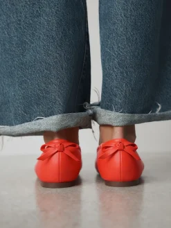 - Ballerina's*Next New