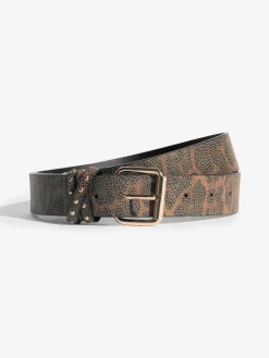 - Belts 2 Pack*Lipsy Discount