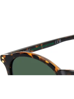 Havanas Panthos Brown Sunglasses*Polaroid Clearance