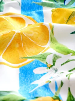 Wit/Blauw Strepen citroen Print - Buikcorrigerend DD+ badpak met beugels en ronde hals*Next Clearance