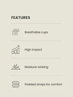 Zwart - B-G High Impact Dry Tech Full Cup Wired Sports Bras 2 Pack*Next Online