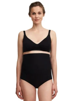 - Maternity Pure Smooth High Waisted Bump Knickers*Chantelle Online