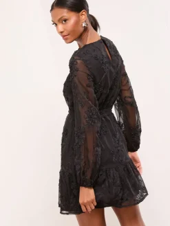 - 3D Lace Long Sleeve Mini Dress*Lipsy Online