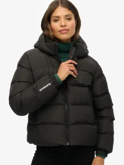 Zwart - - Gewatteerd sportjack met capuchon*Superdry Clearance